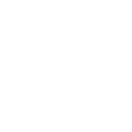 White Noise Events